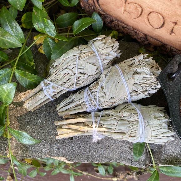 California White Sage Smudge TORCHES (3) FIRM - Picture 4 of 7